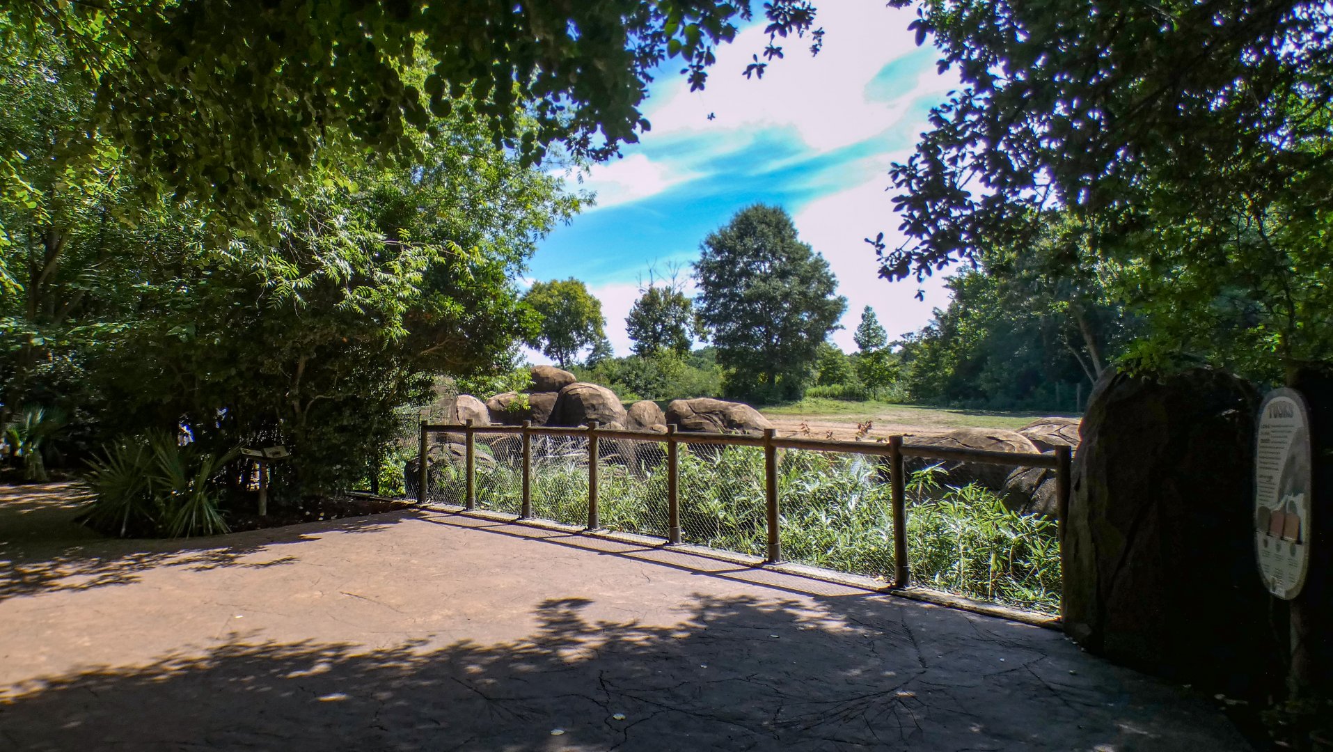 Aug. 2022 - Watani Grasslands Reserve - Right Elephant Exhibit Viewing