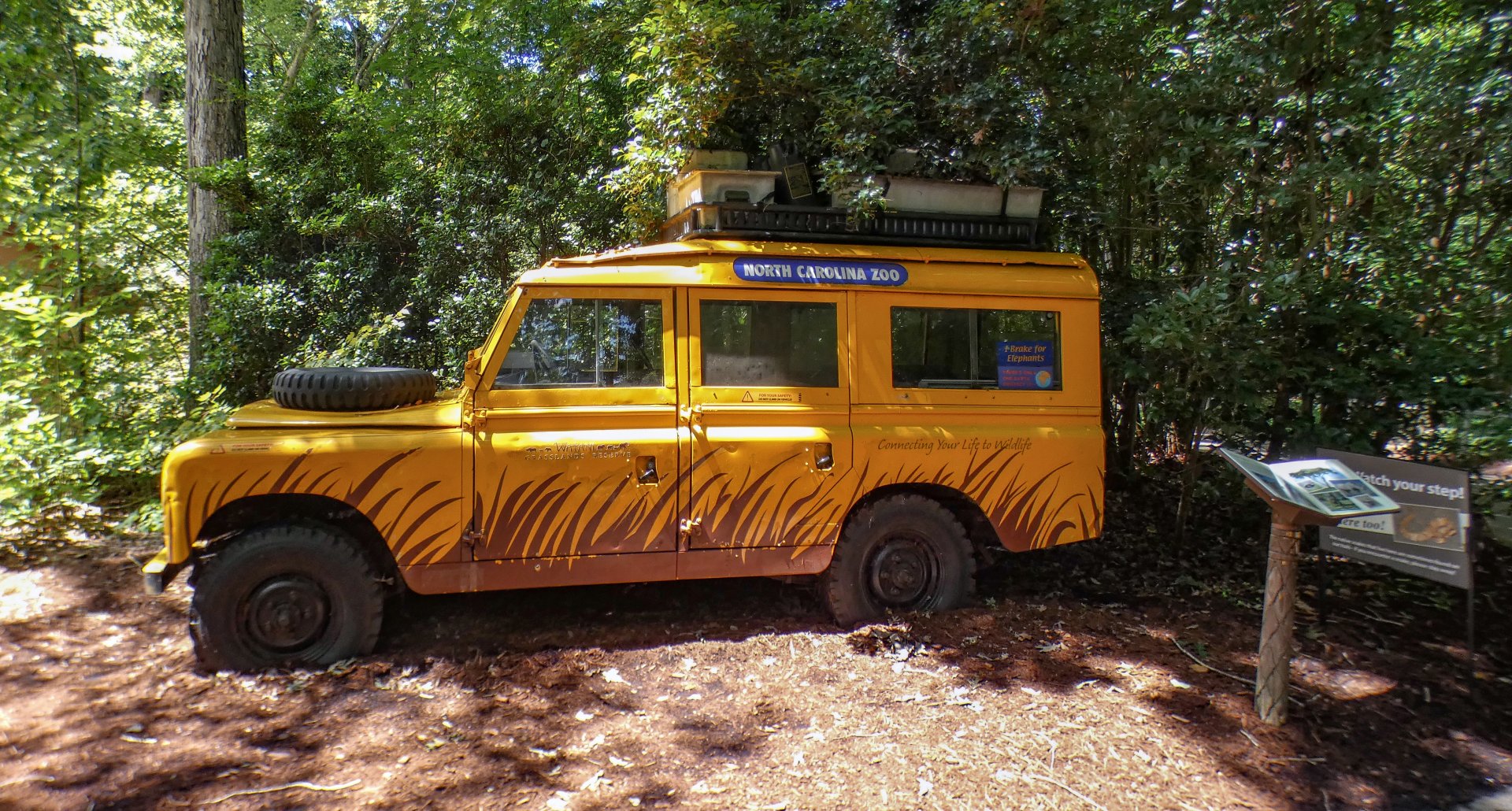 Aug. 2022 - Watani Grasslands Reserve - Safari Truck