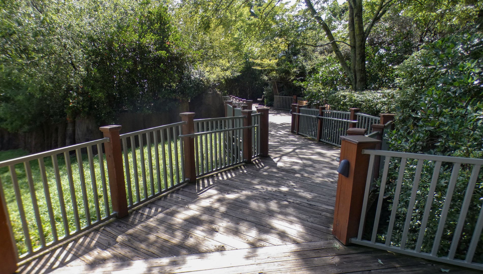 Aug. 2022 - Watani Grasslands Reserve - Savanna Viewing