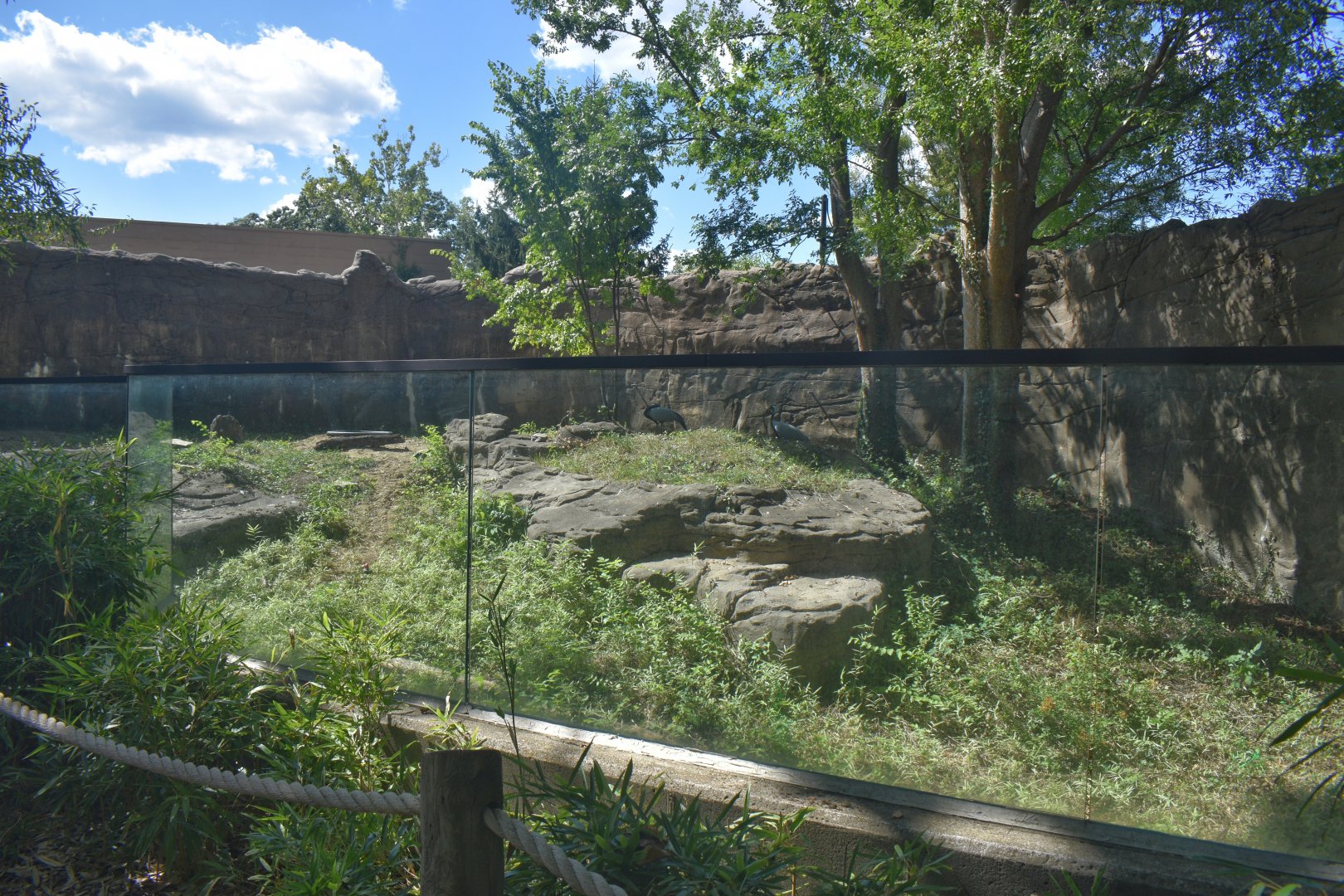 Aug. 2025 - Dragons! - Demoiselle Crane Exhibit (New Species | Former Komodo Dragon)