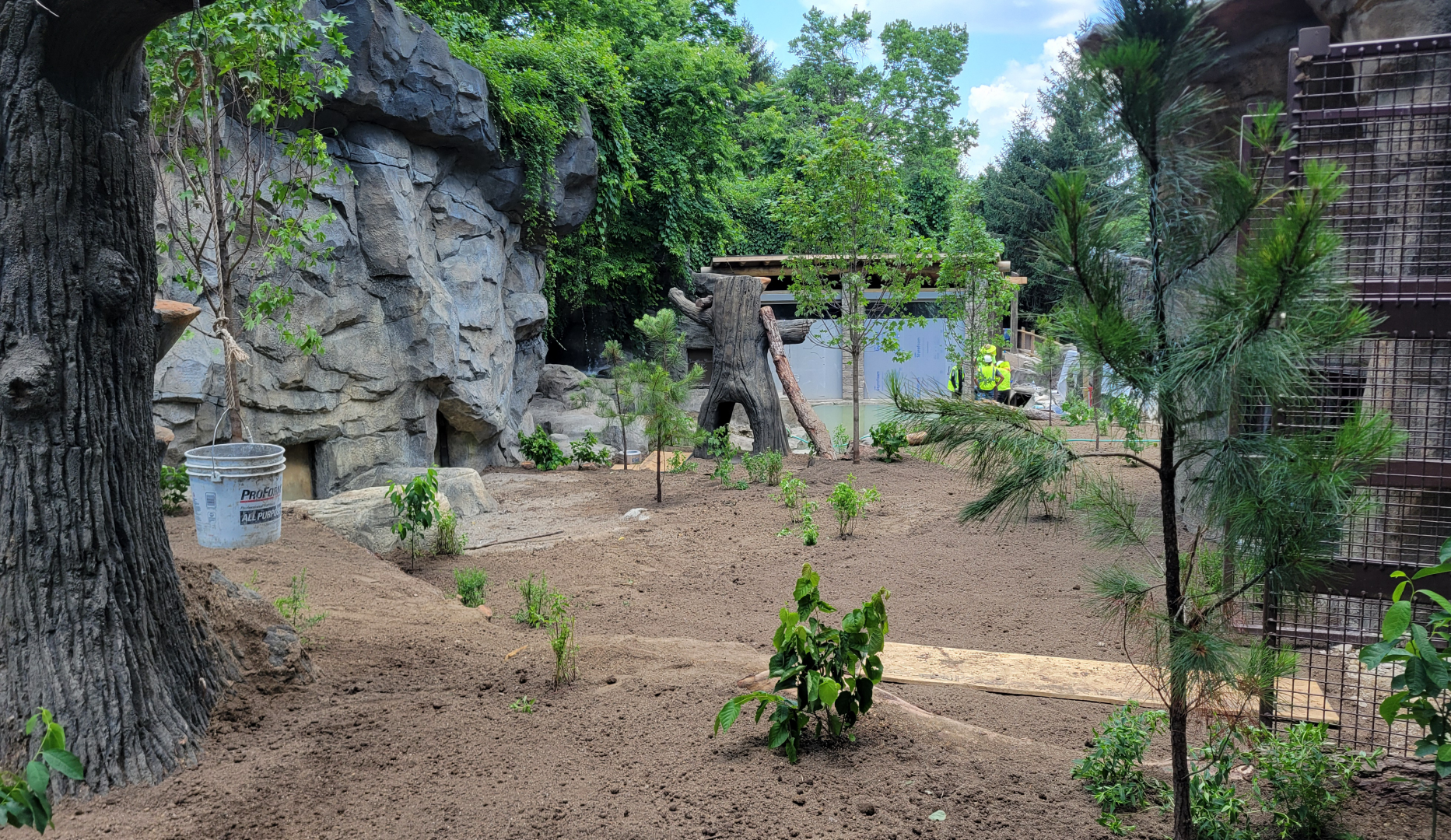 Aug. 2025 - NEW! Bear Ridge Construction