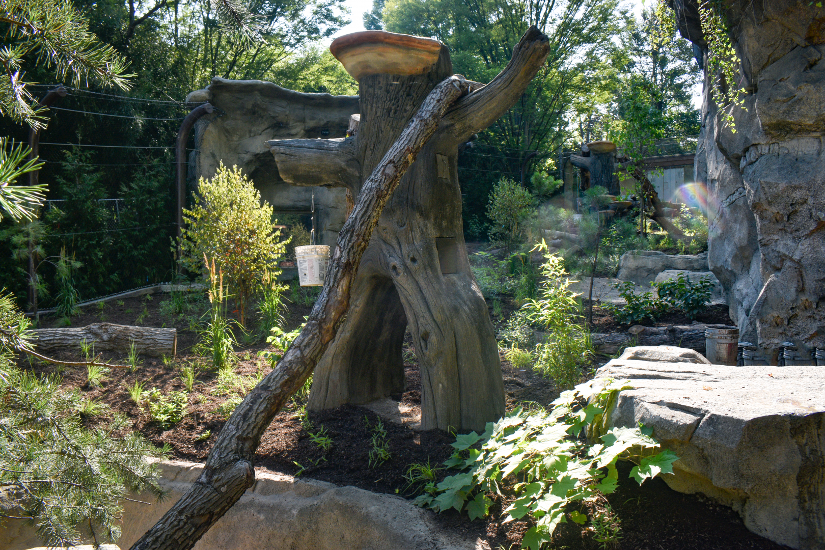 Aug. 2025 - NEW! Bear Ridge - Pre-Opening