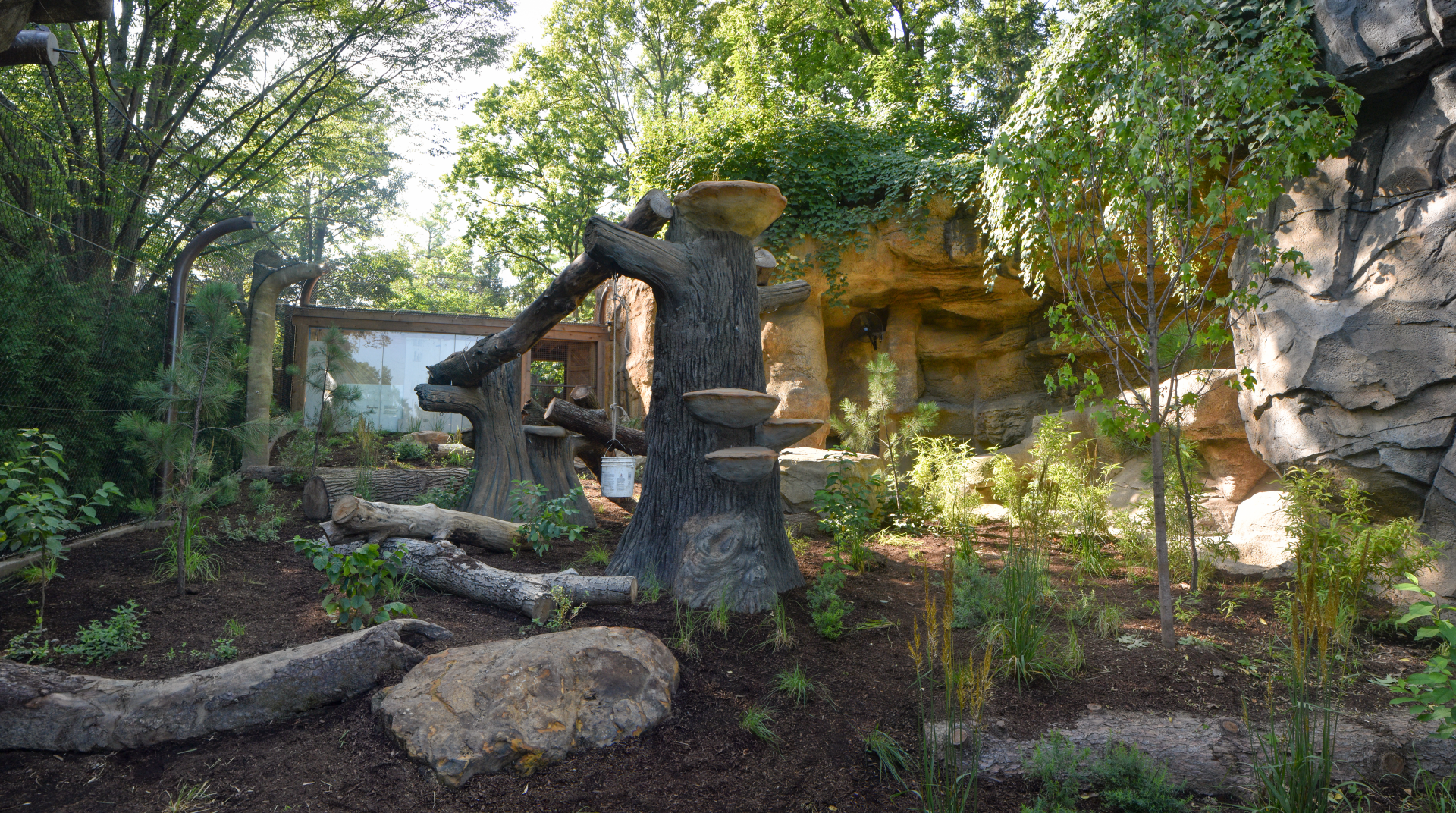 Aug. 2025 - NEW! Bear Ridge - Pre-Opening