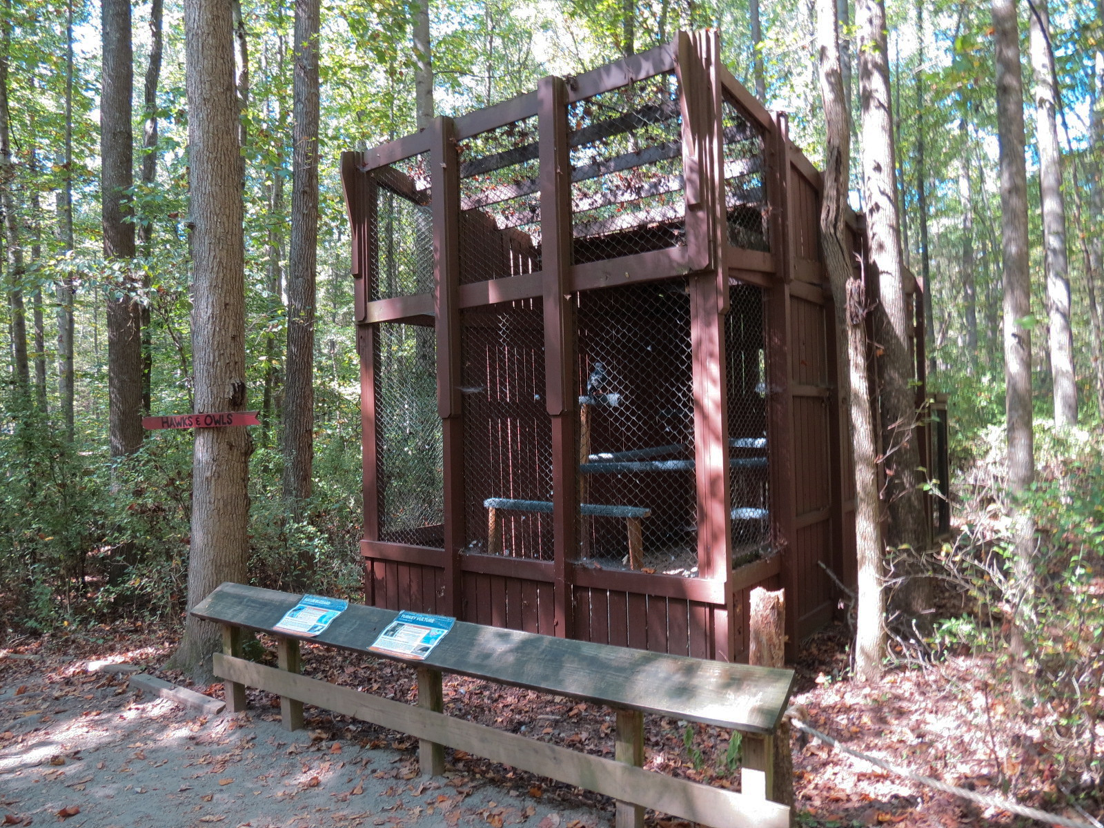 Auger Buzzard and Turkey Vulture Exhibit