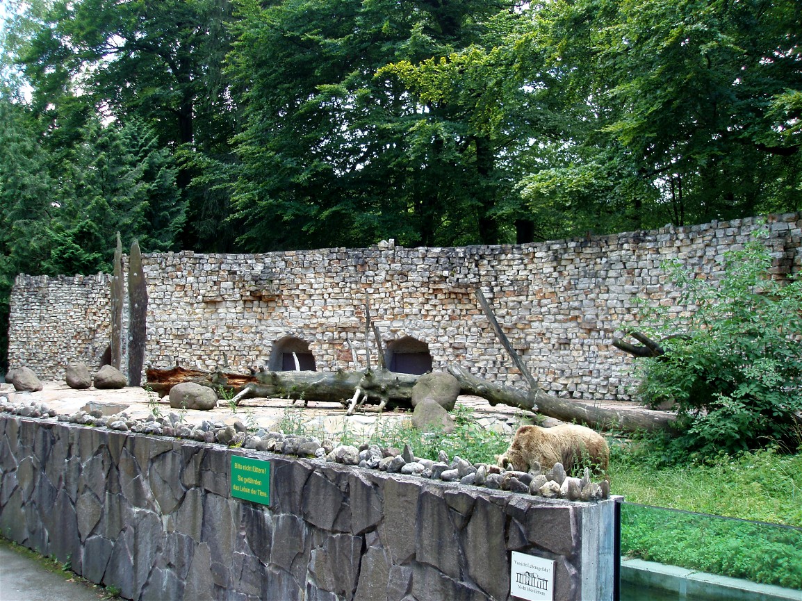 Augsburg Zoo - Brown bear exhibit