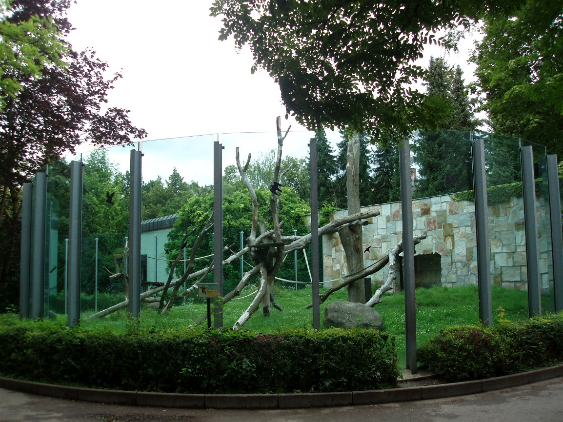 Augsburg Zoo - Chimpanzee exhibit
