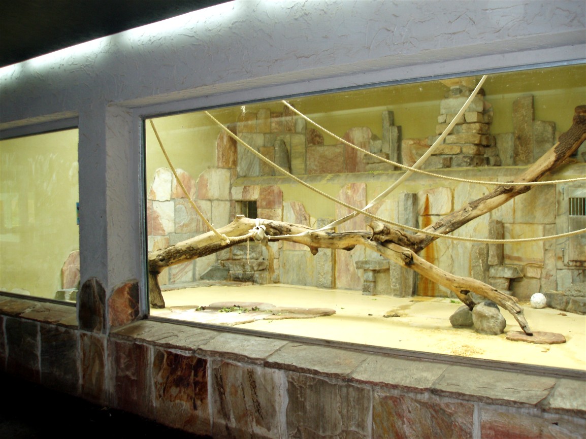 Augsburg Zoo - Chimpanzee grotto