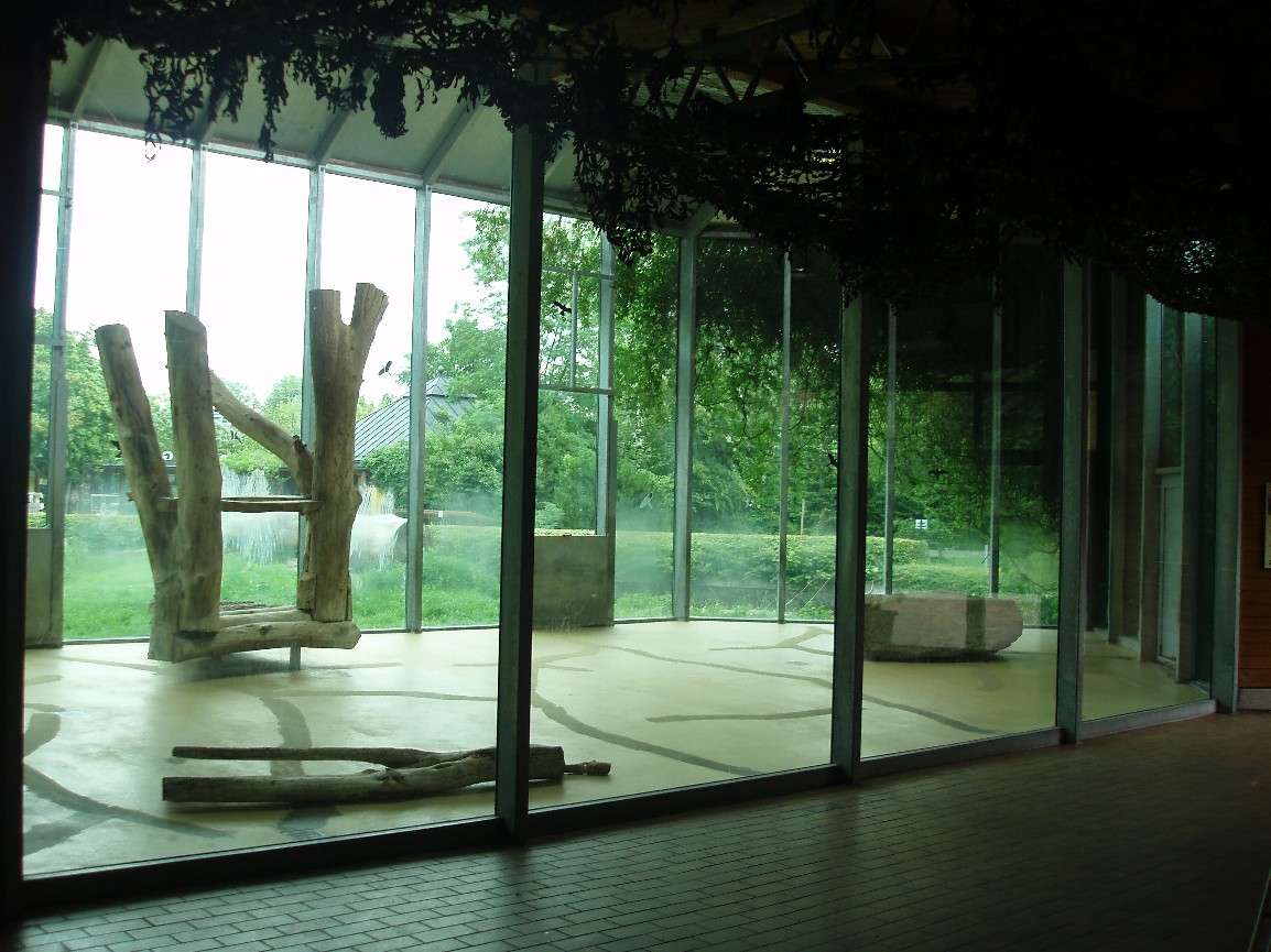 Augsburg Zoo - Lion indoor exhibit