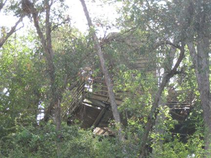 August 2, 2009 old aviaries