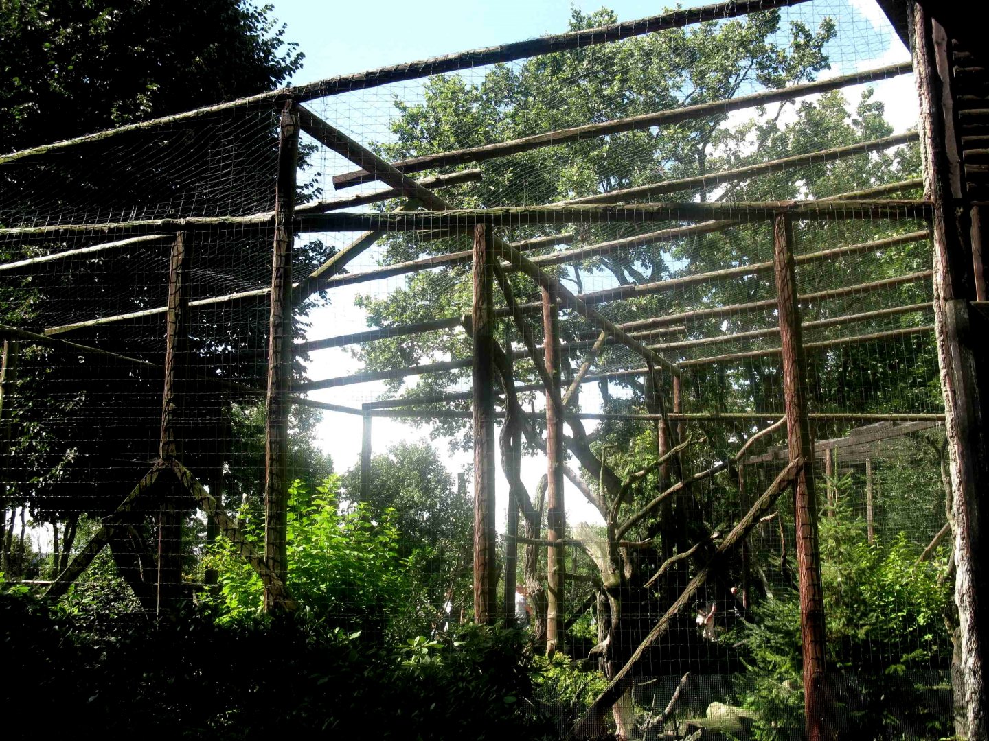 August 2013 - Bearded Vulture aviary