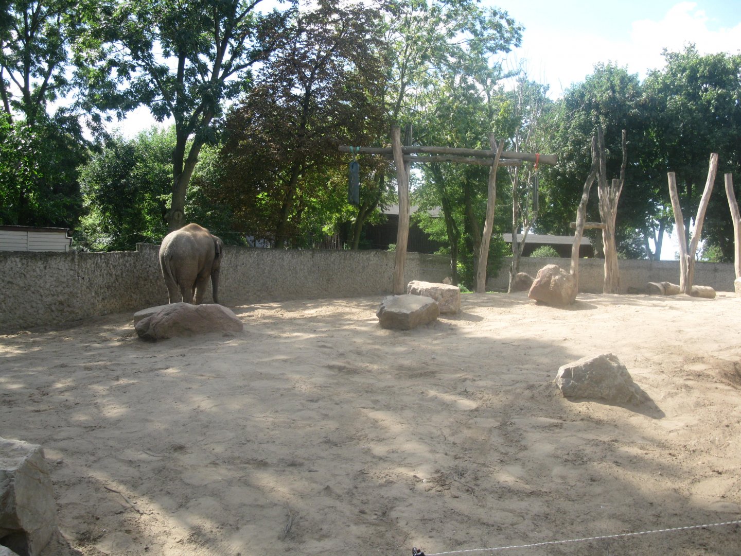 August 2013 - Elephants enclosure