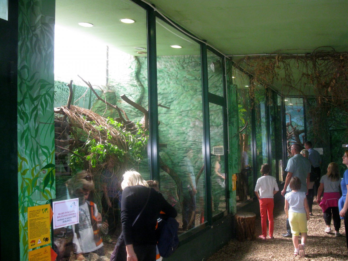 August 2013 - Indoor Monkey House