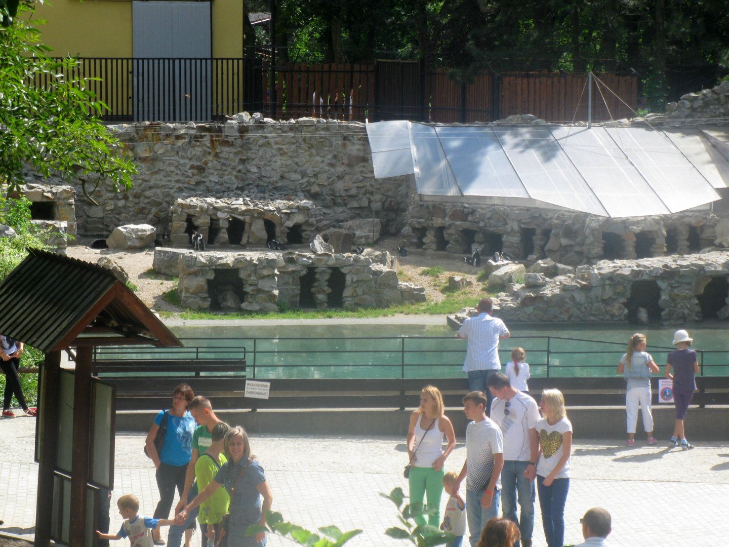 August 2013 - Look at the penguins enclosure