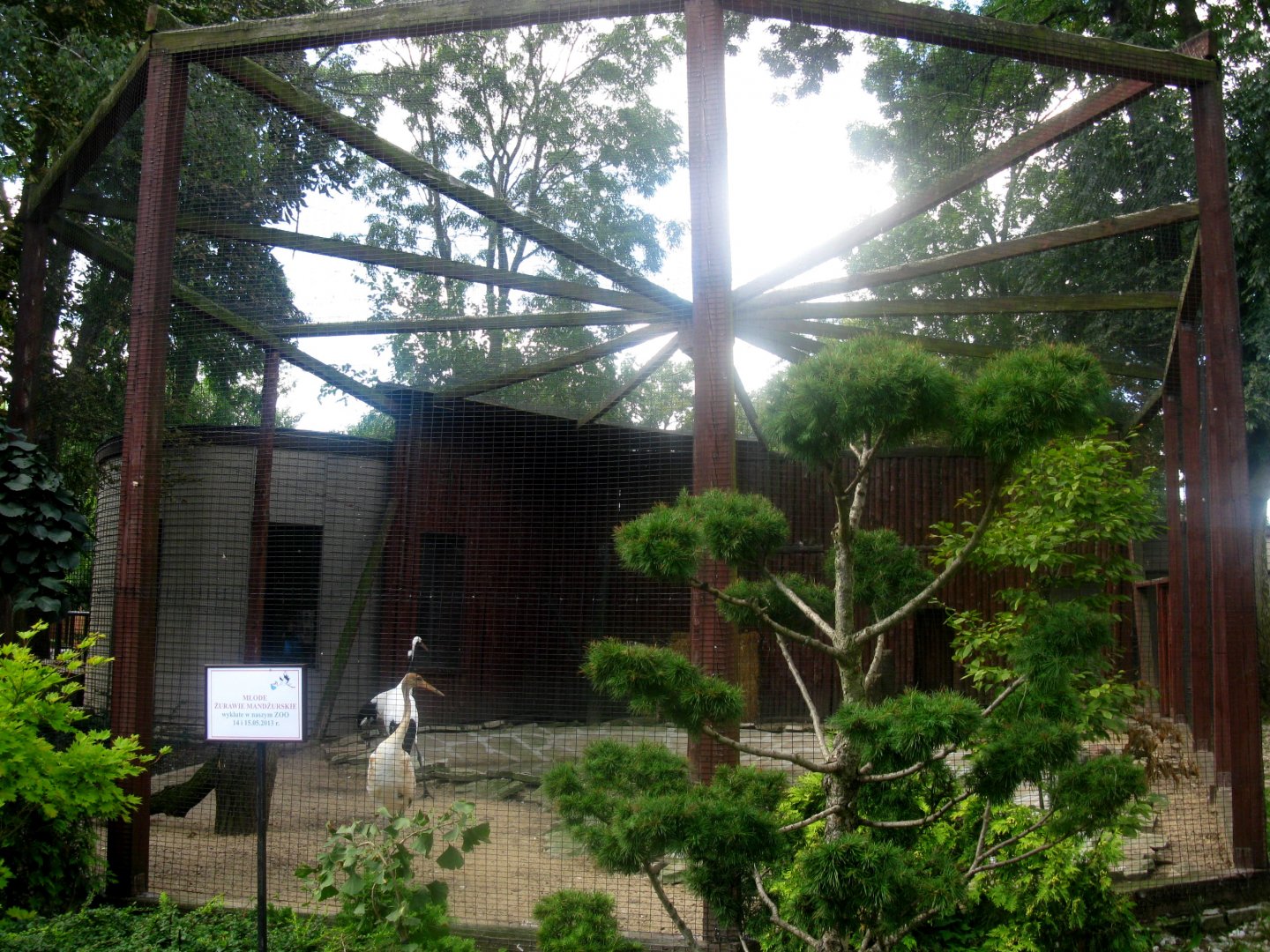August 2013 - Red-crowned Crane aviary