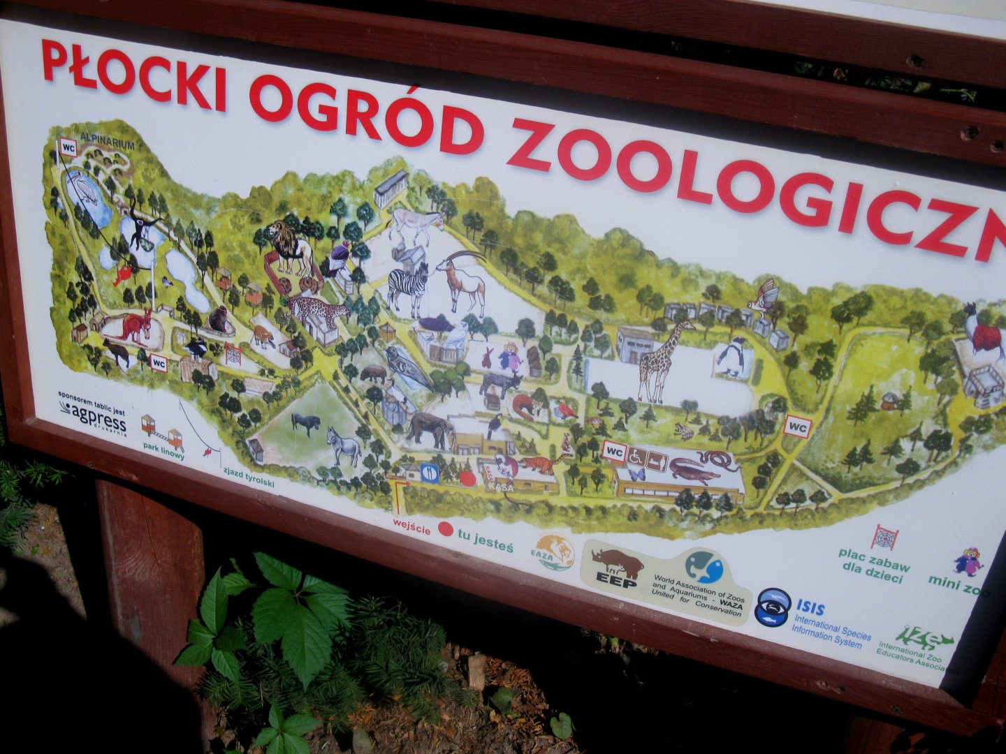 August 2013 - Zoo Map