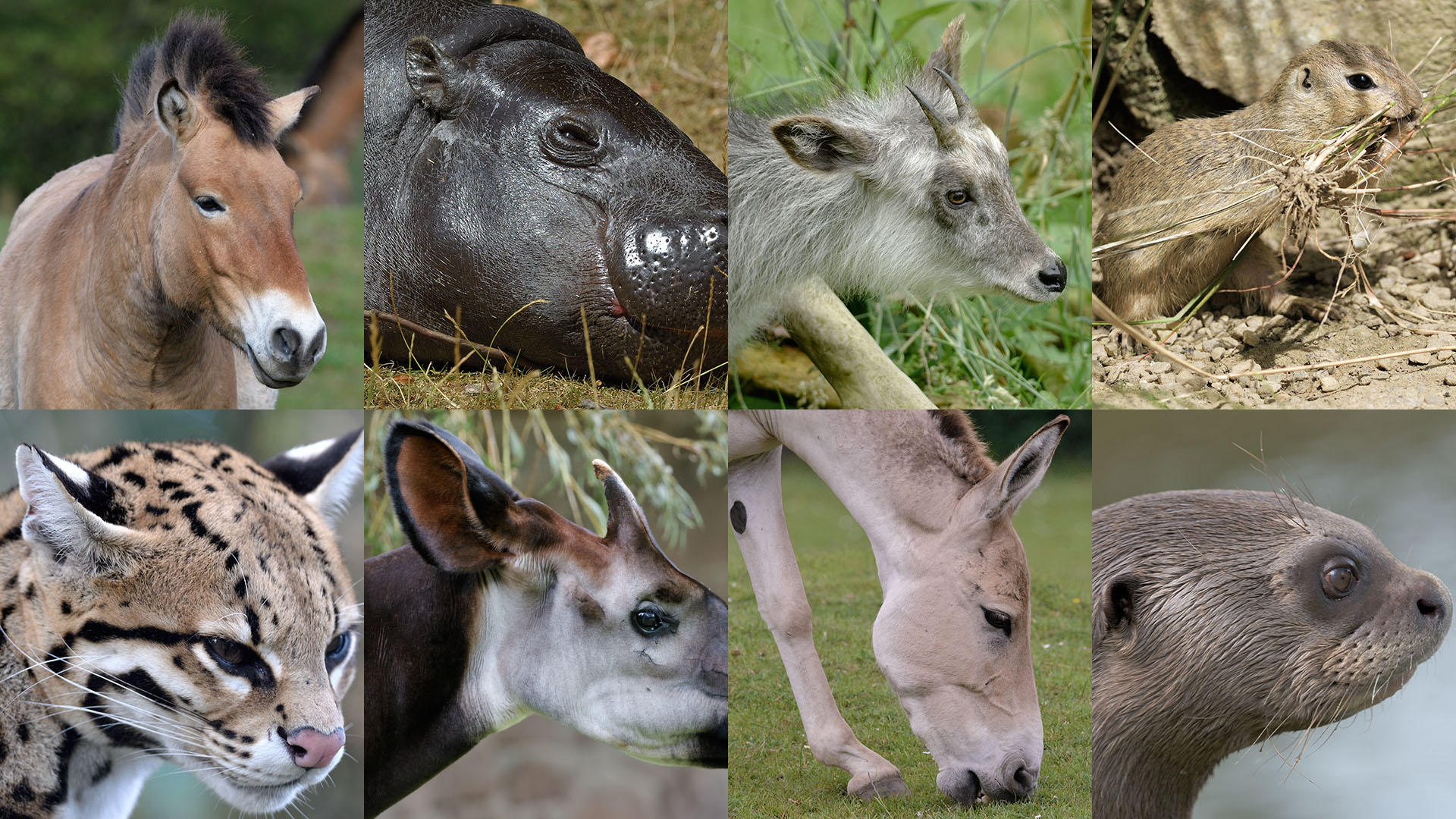 August Photo Quiz larger images