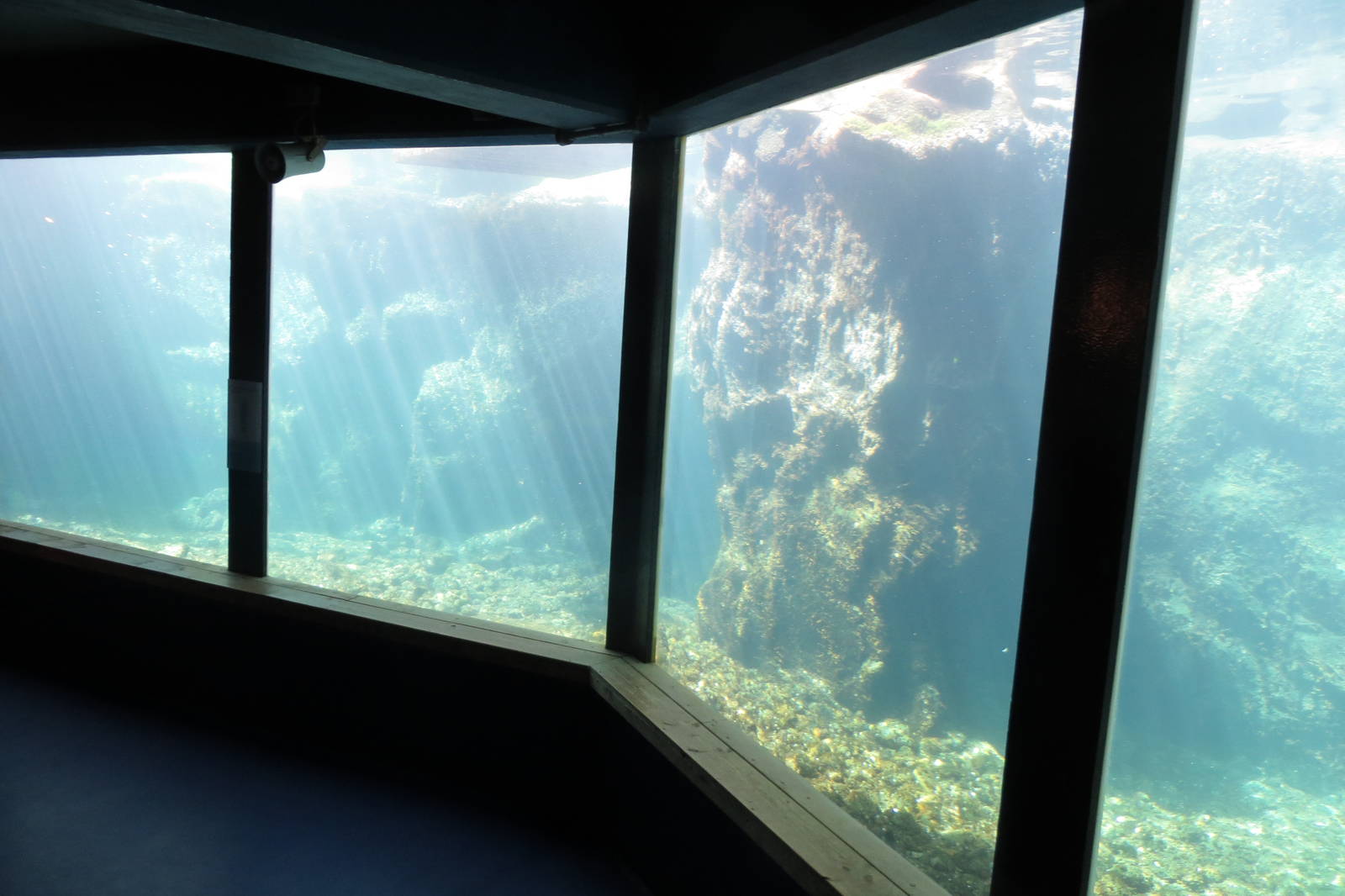 Auk Cliffs Underwater Viewing 160515