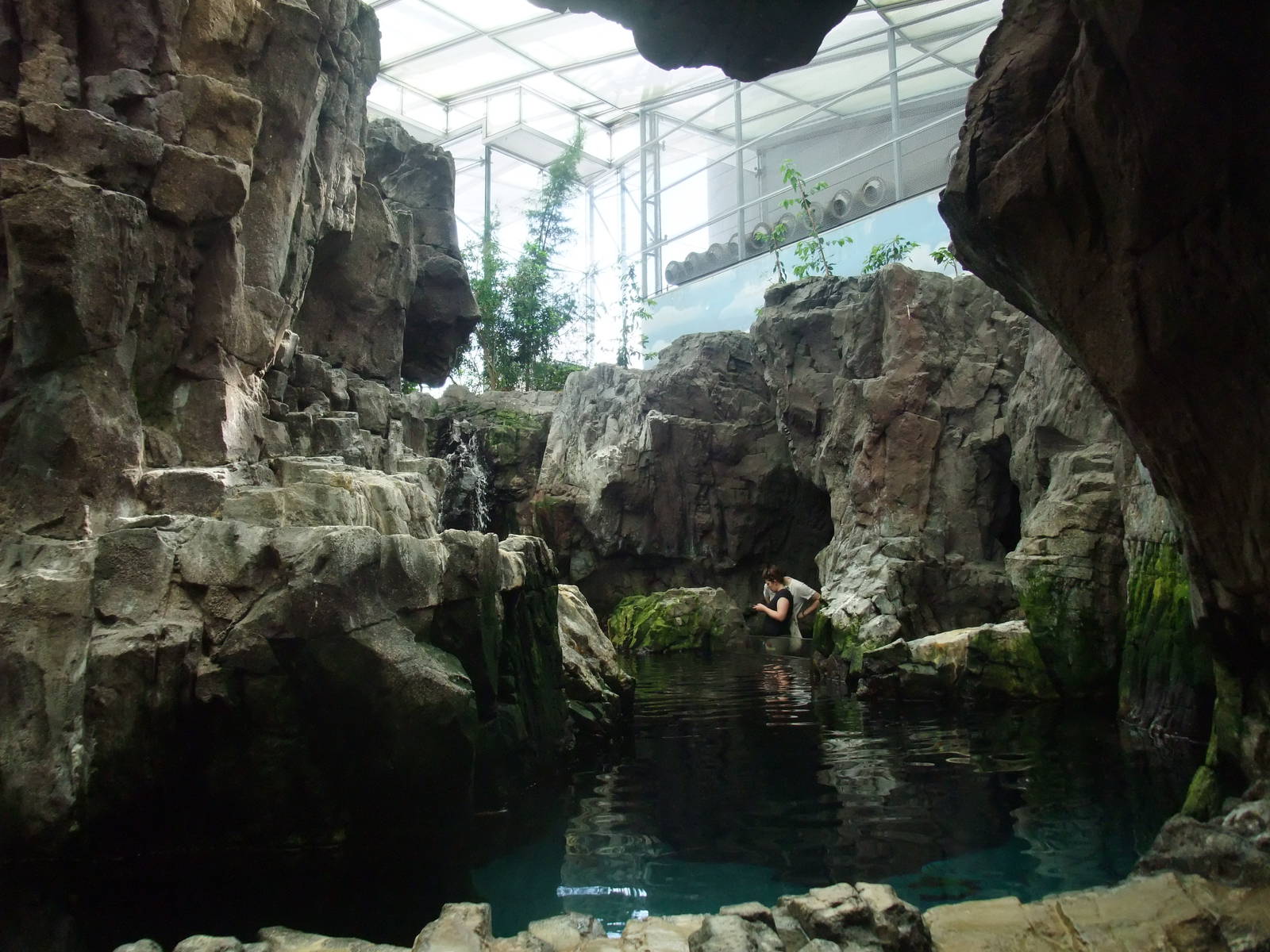 Auk Exhibit at Lisbon Oceanarium, 25/05/11