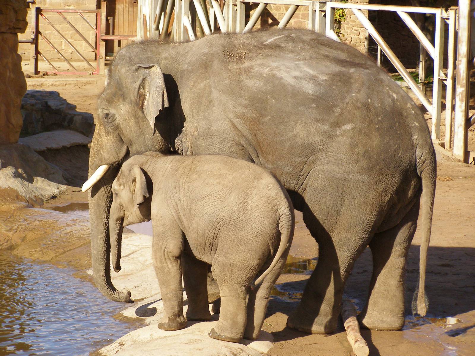 Aung Bo and Jamilah..