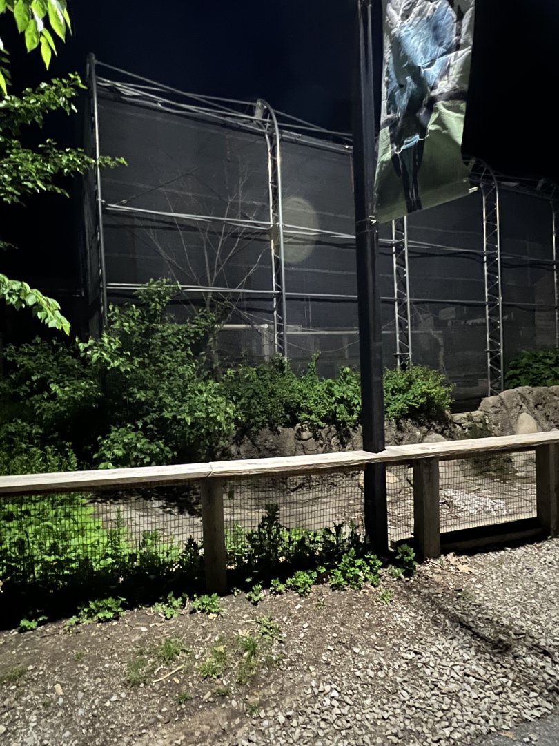 Aussie Aviary at Night