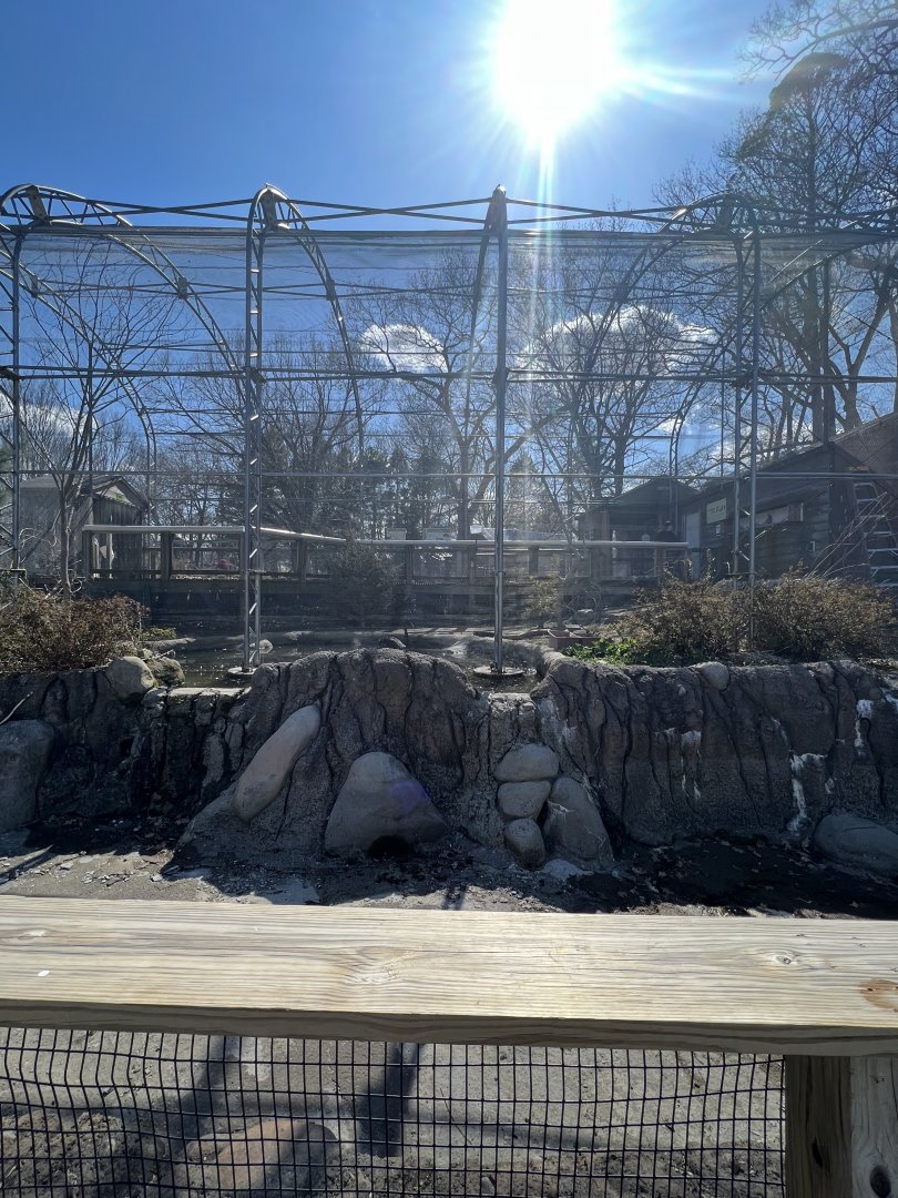 Aussie Aviary (from outside)