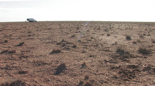 Aussie desert camping scene