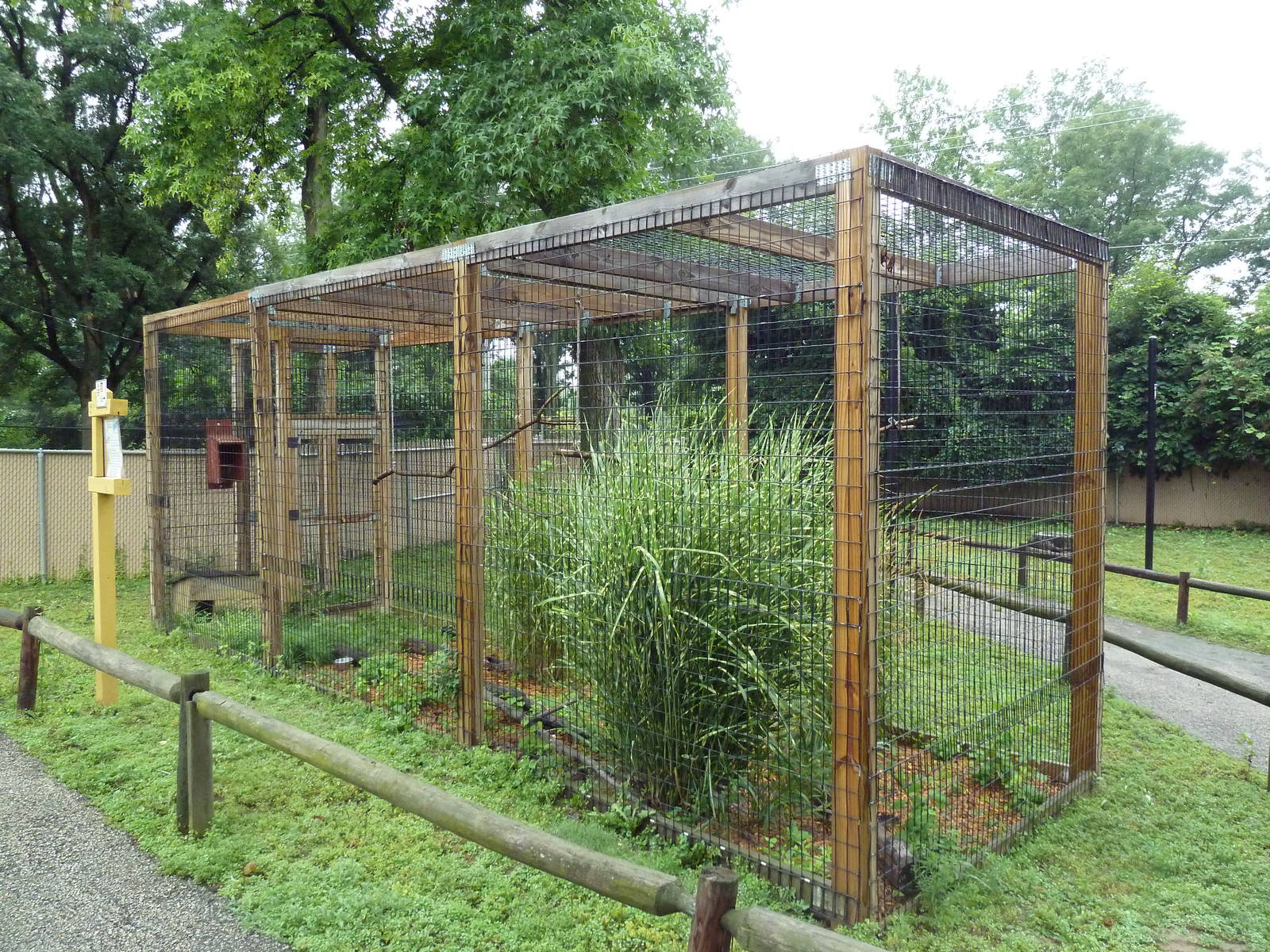 Aussie Walk-Through Yard - Virginia Opossum Exhibit