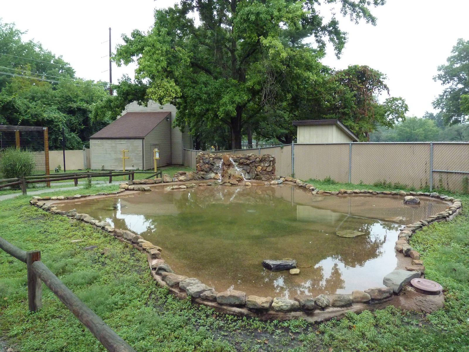 Aussie Walk-Through Yard (Wallaroo + Magpie Goose)