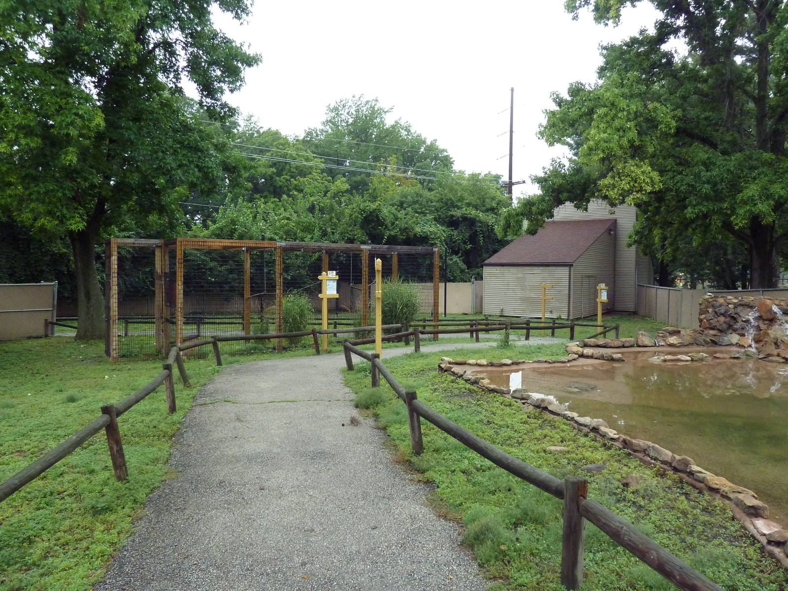 Aussie Walk-Through Yard (Wallaroo + Magpie Goose)