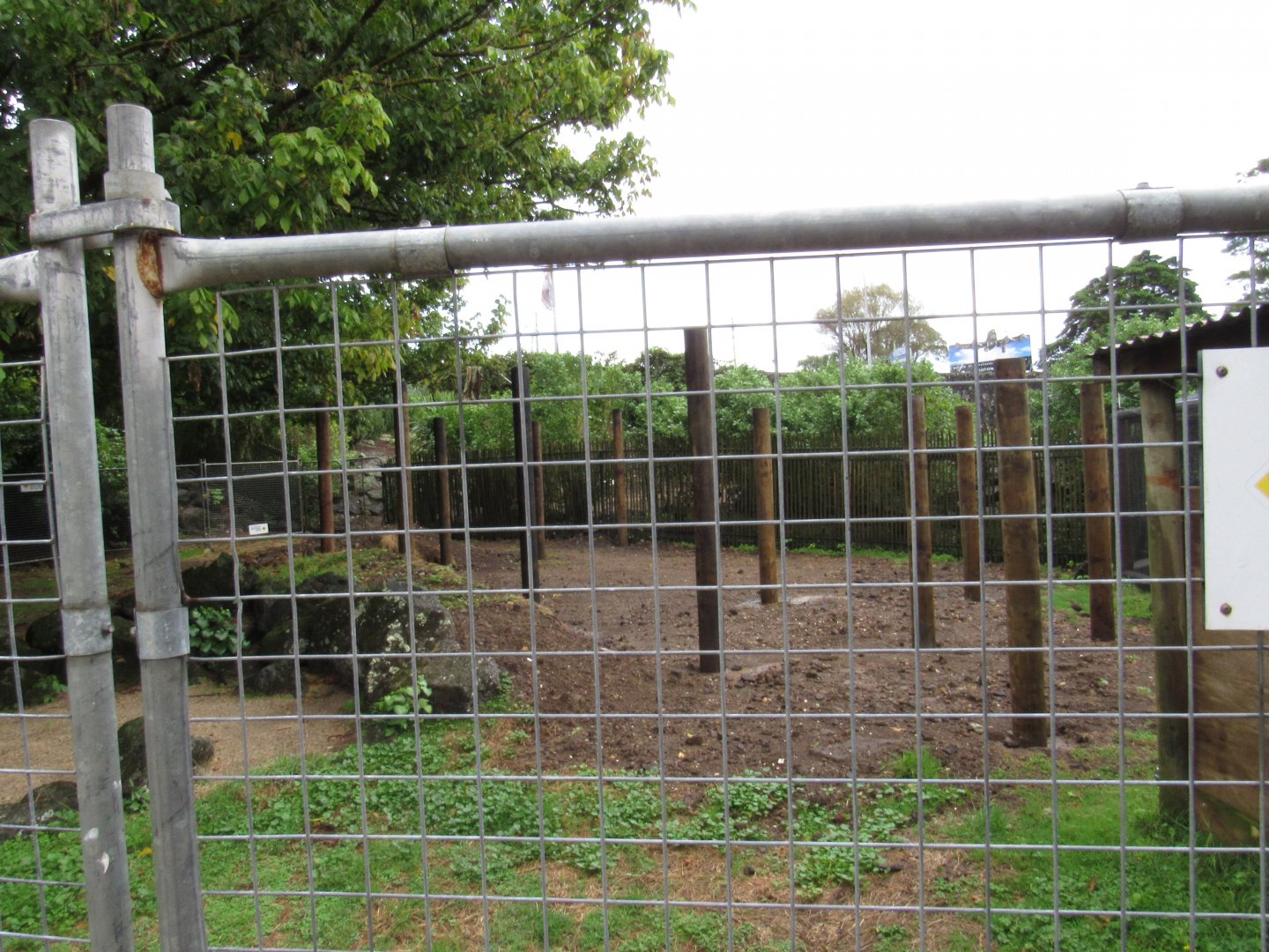 Aussie Walkabout - Construction?