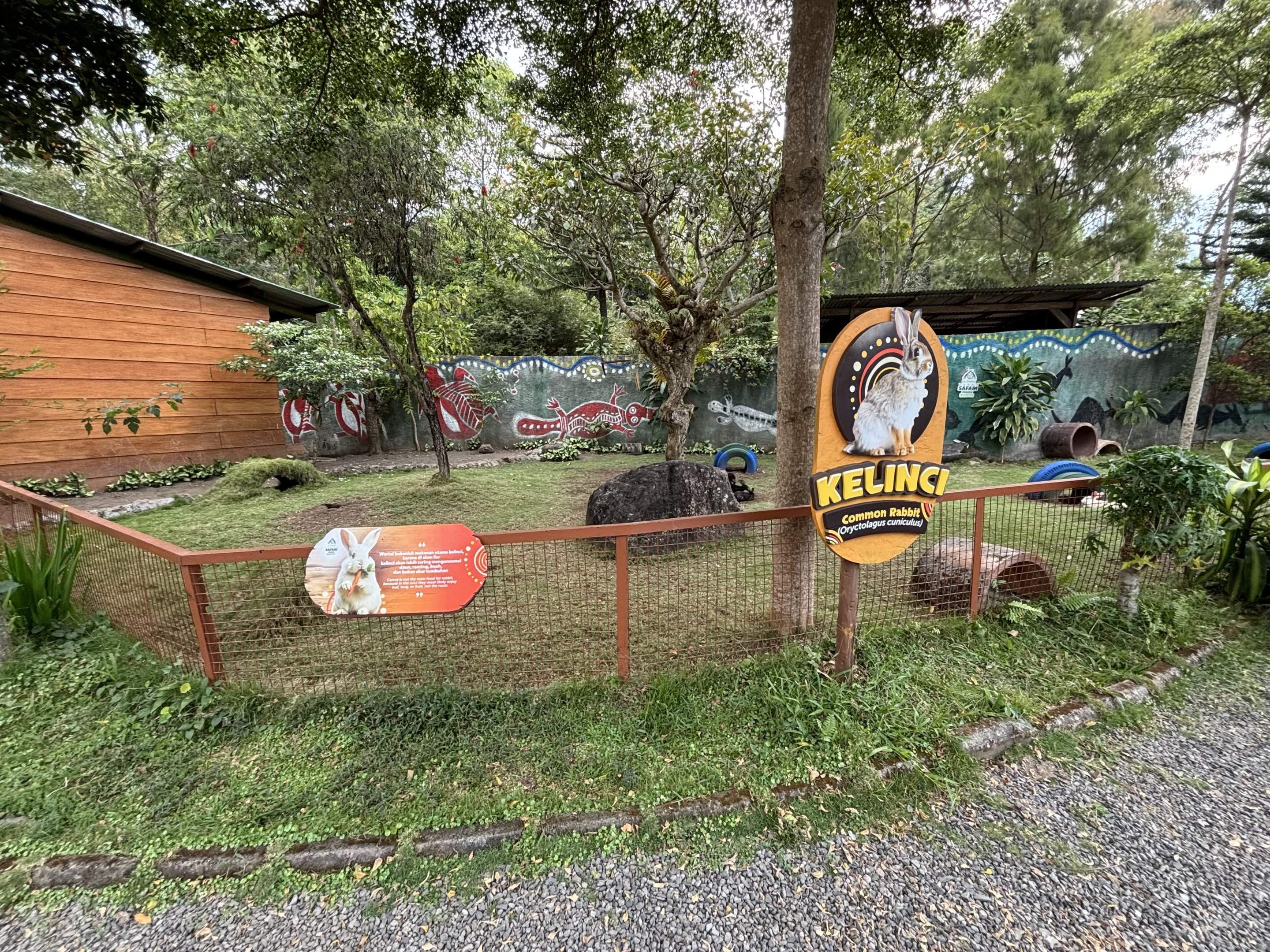 Aussie Zone - Rabbit Exhibit