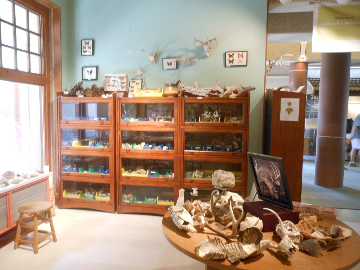 Austin Nature and Science Center