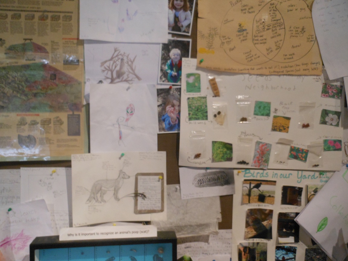 Austin Nature and Science Center