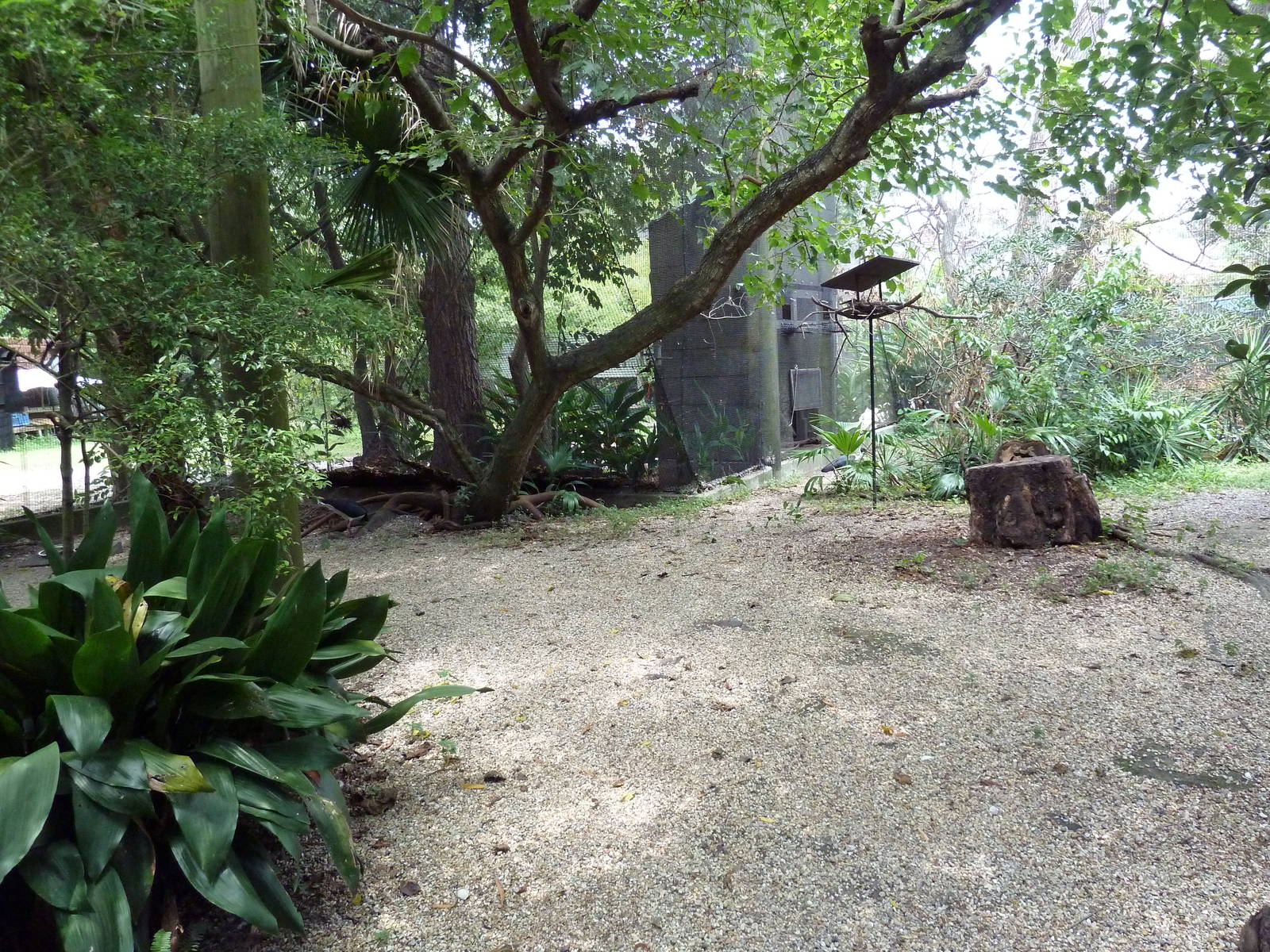 Austral/Asian Walk-Through Aviary