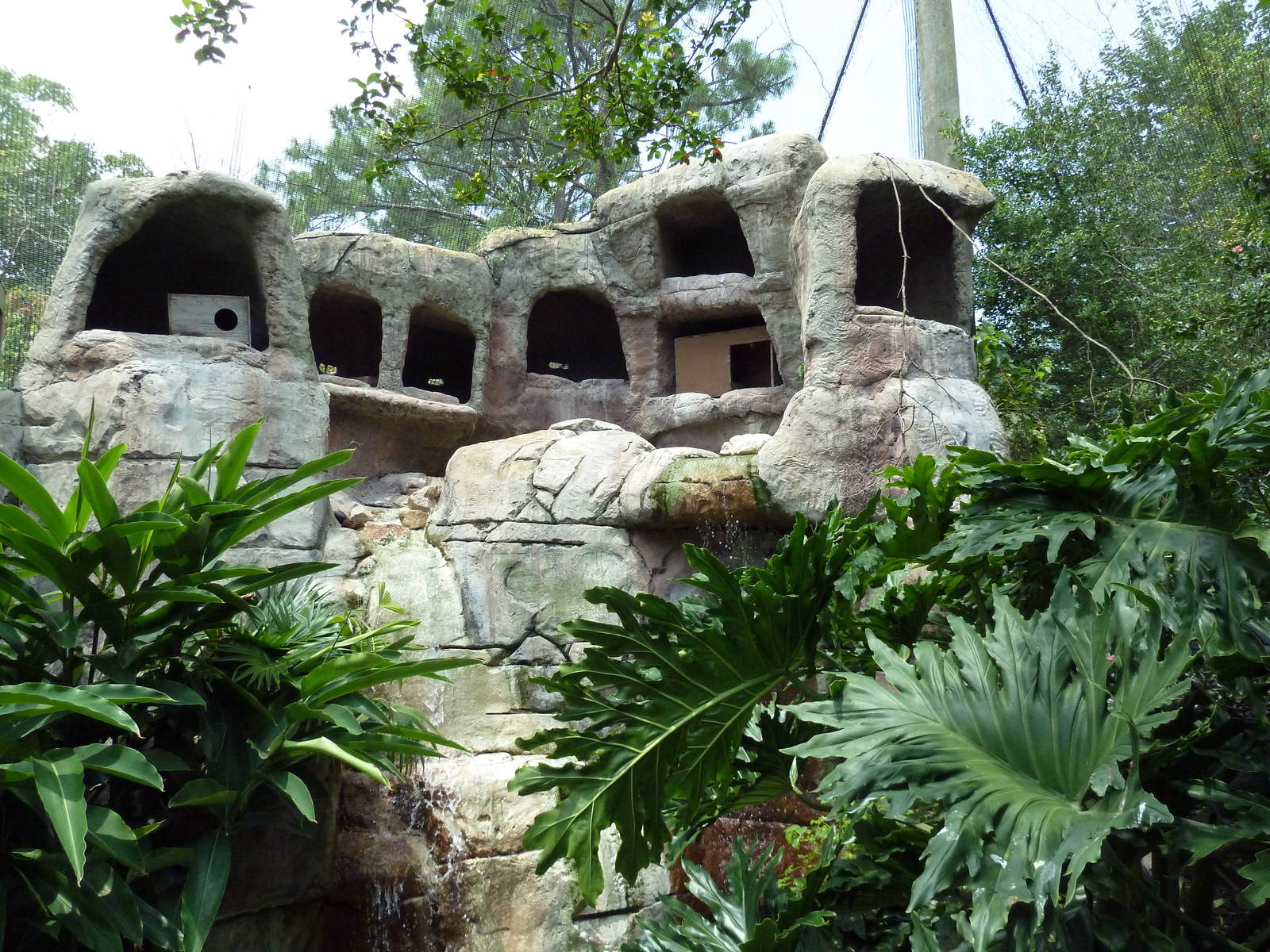 Austral/Asian Walk-Through Aviary