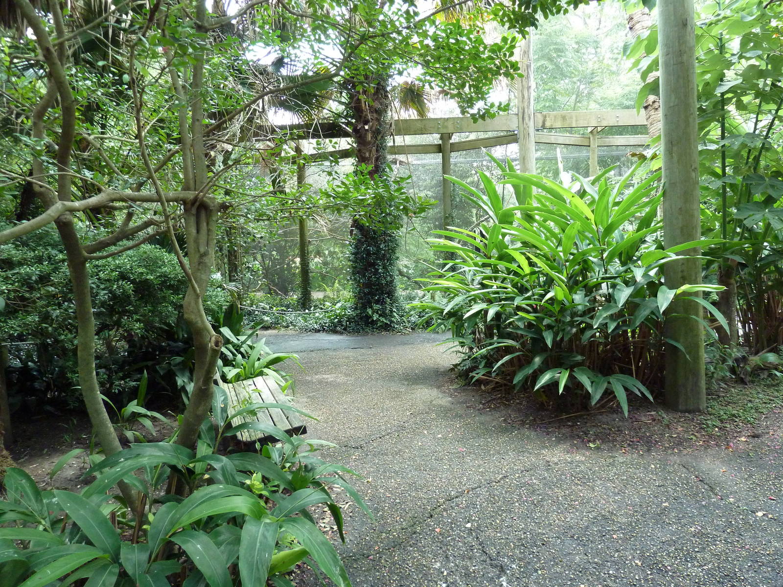 Austral/Asian Walk-Through Aviary