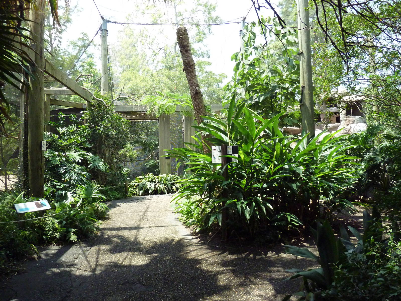 Austral/Asian Walk-Through Aviary