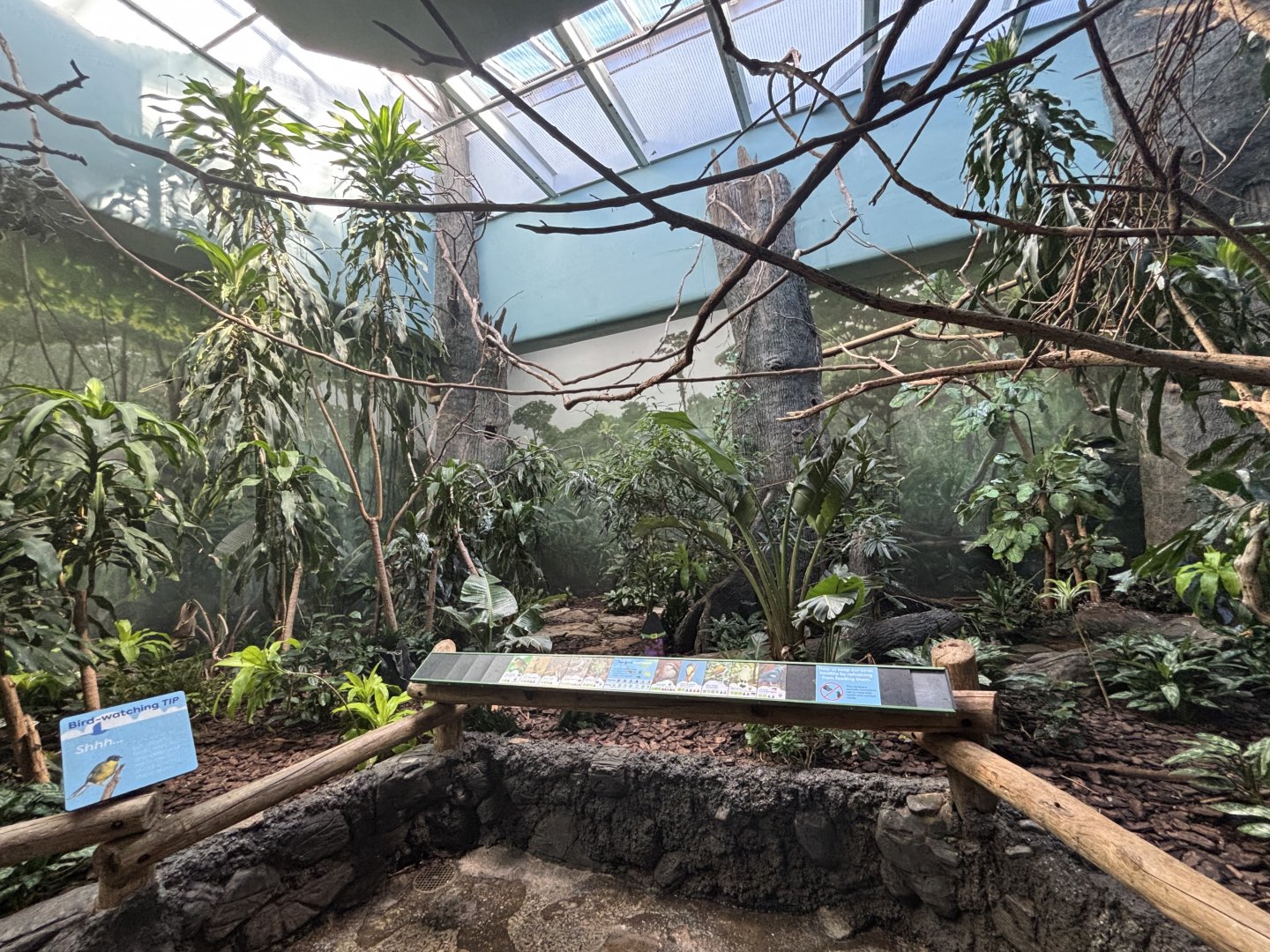 Australasia Aviary - Wings of The World