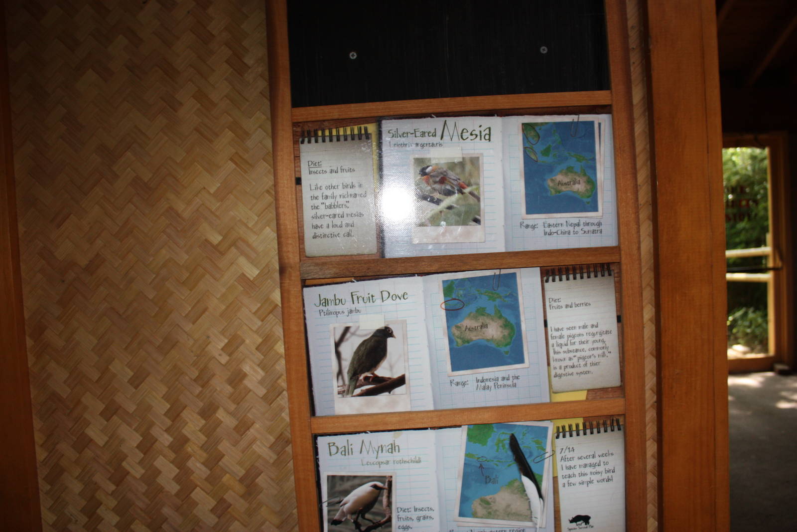 Australasia- Bird Signage