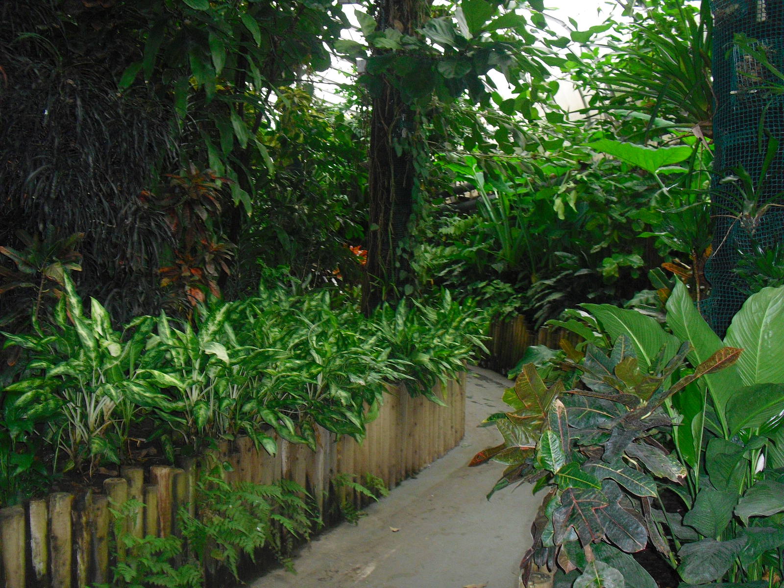 Australasia House - 12/10/2011