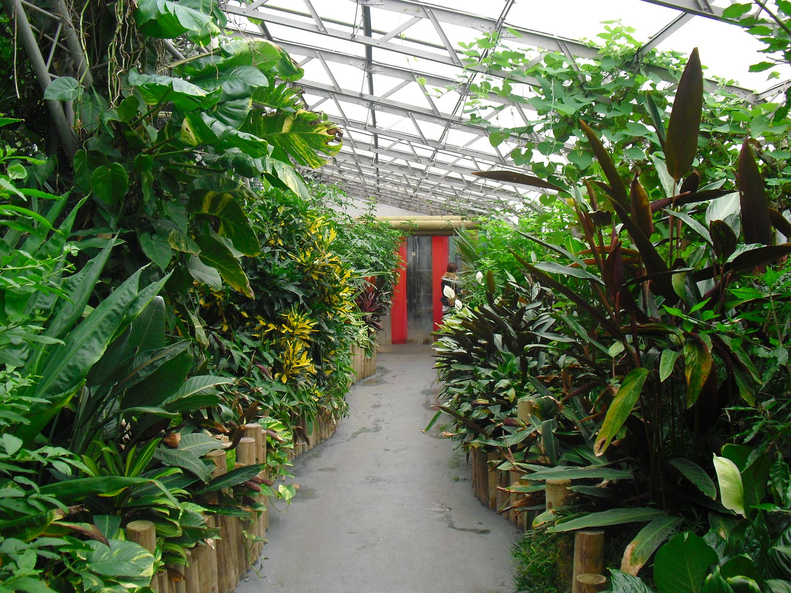 Australasia House - 12/10/2011