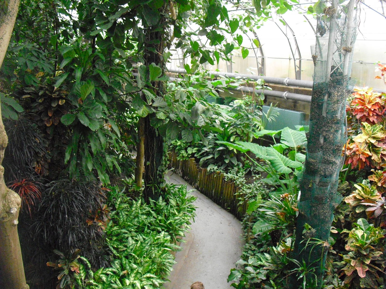 Australasia House - 27/10/2011