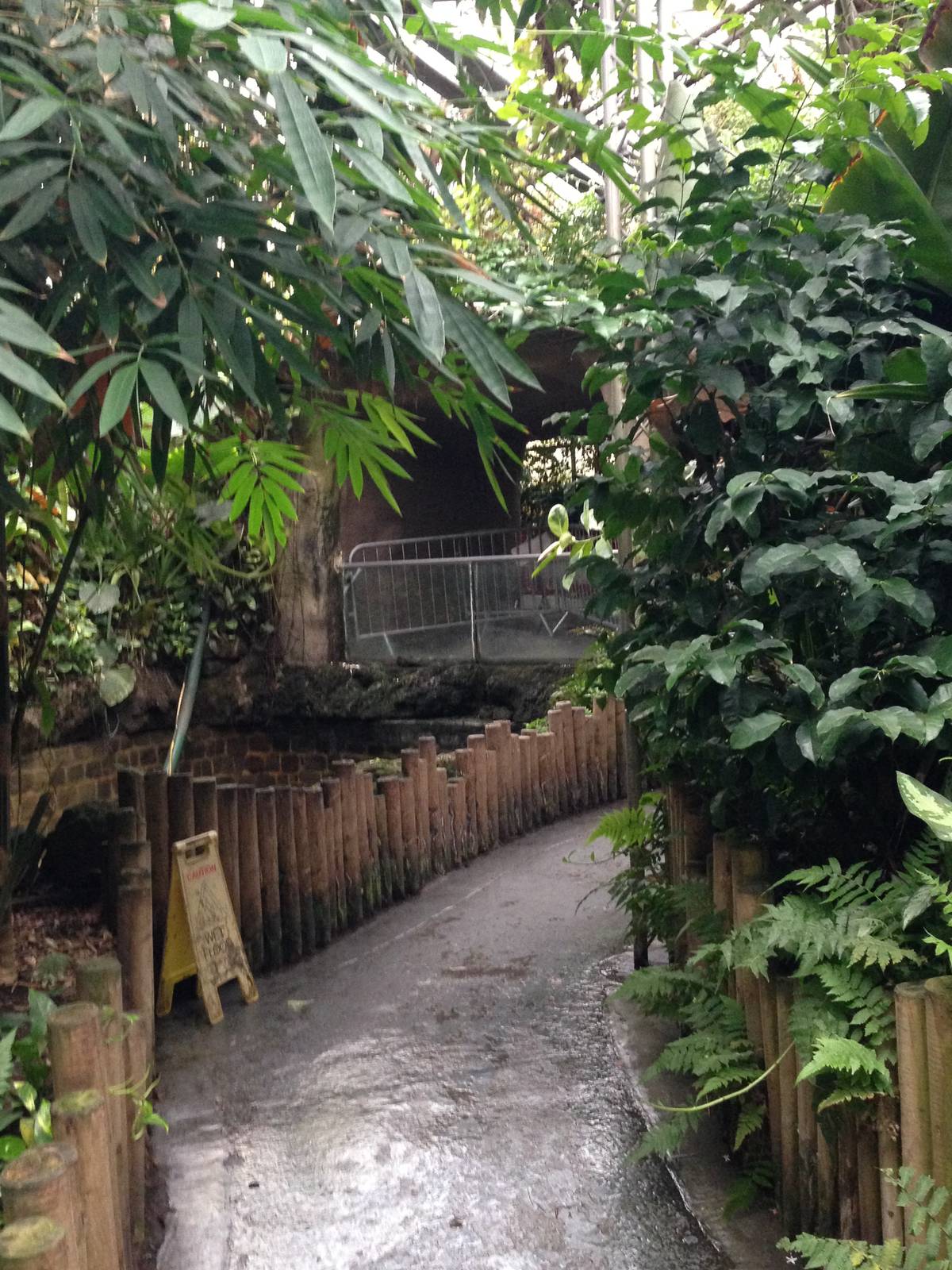 Australasia House at Tropical World - 02/10/2013