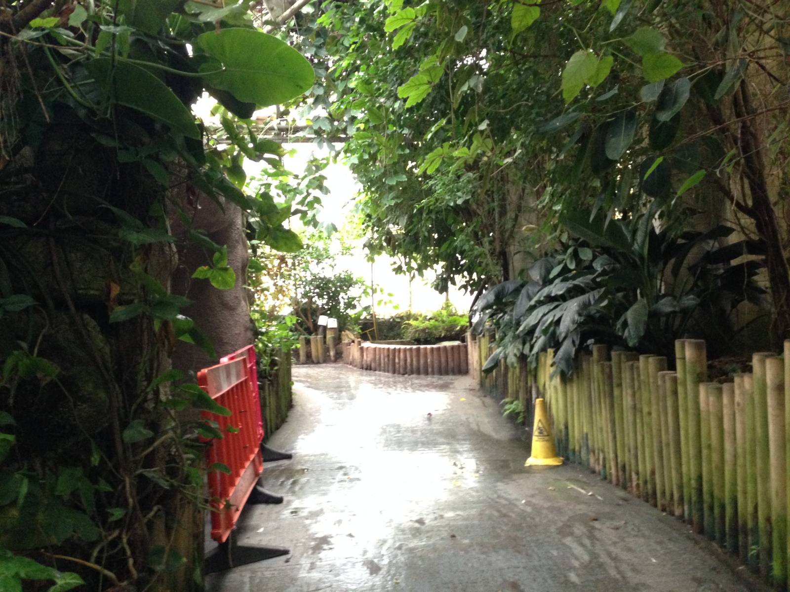 Australasia House at Tropical World - 02/10/2013