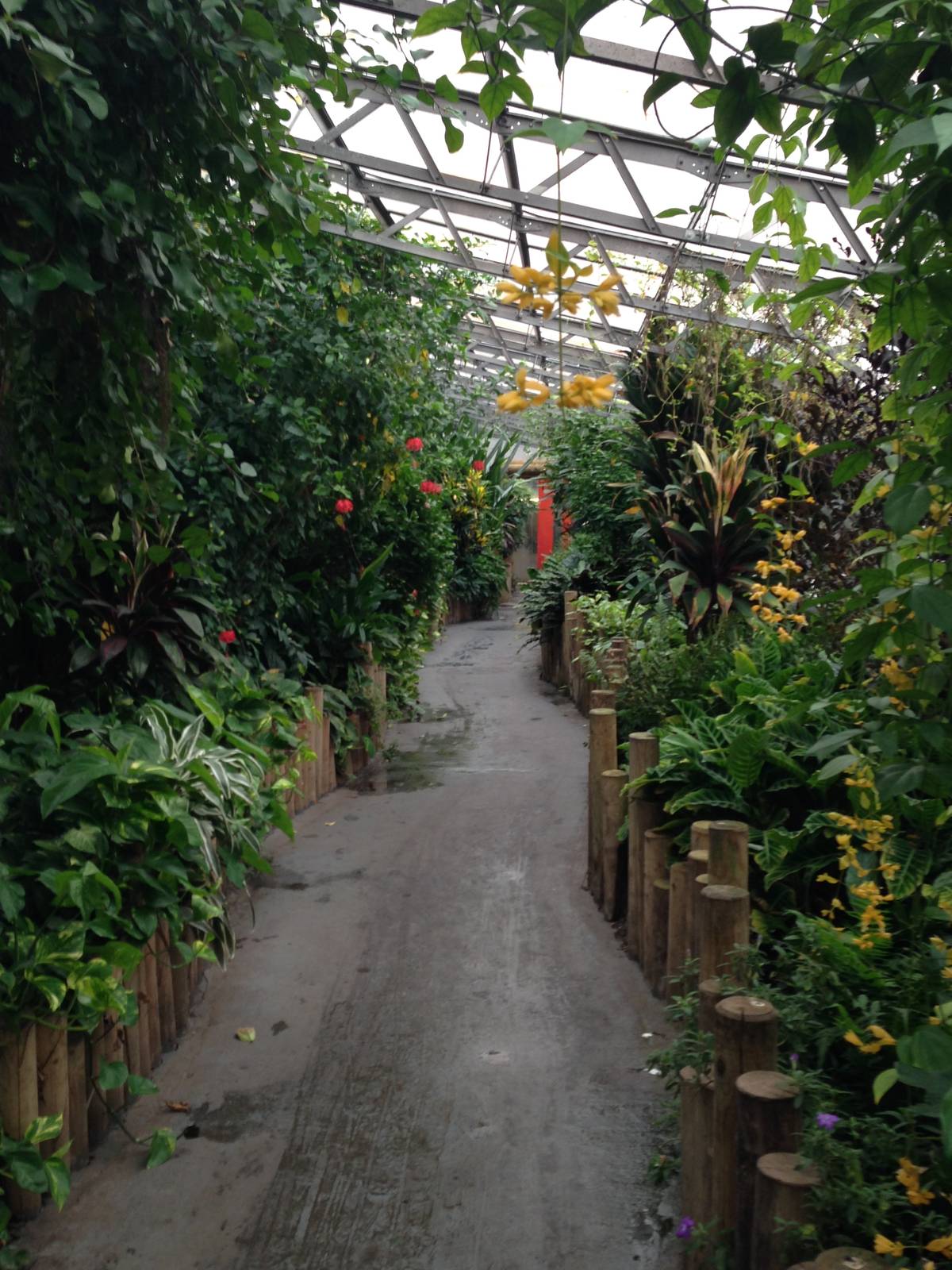 Australasia House at Tropical World - 02/10/2013