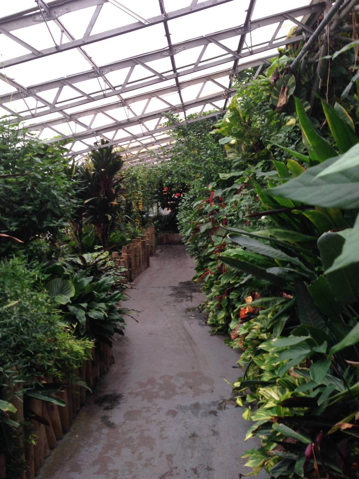 Australasia House at Tropical World