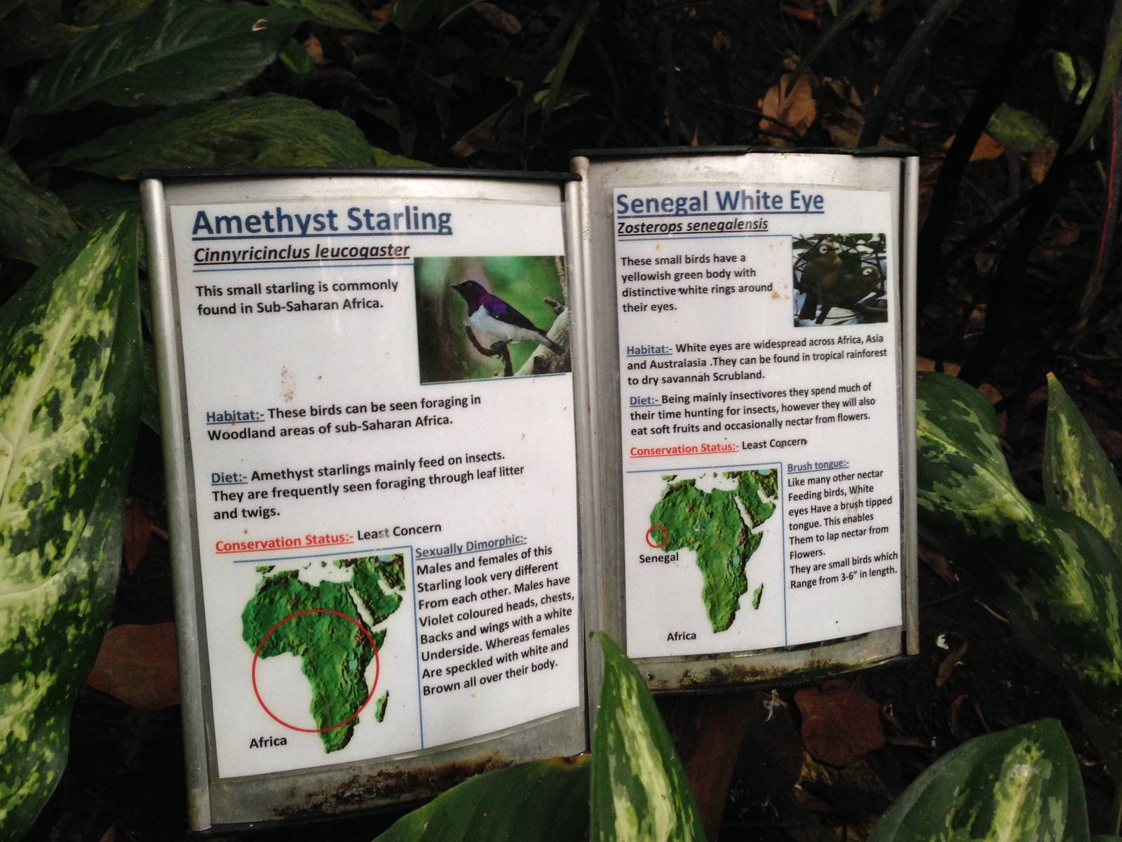 Australasia House Signage at Tropical World - 02/10/2013