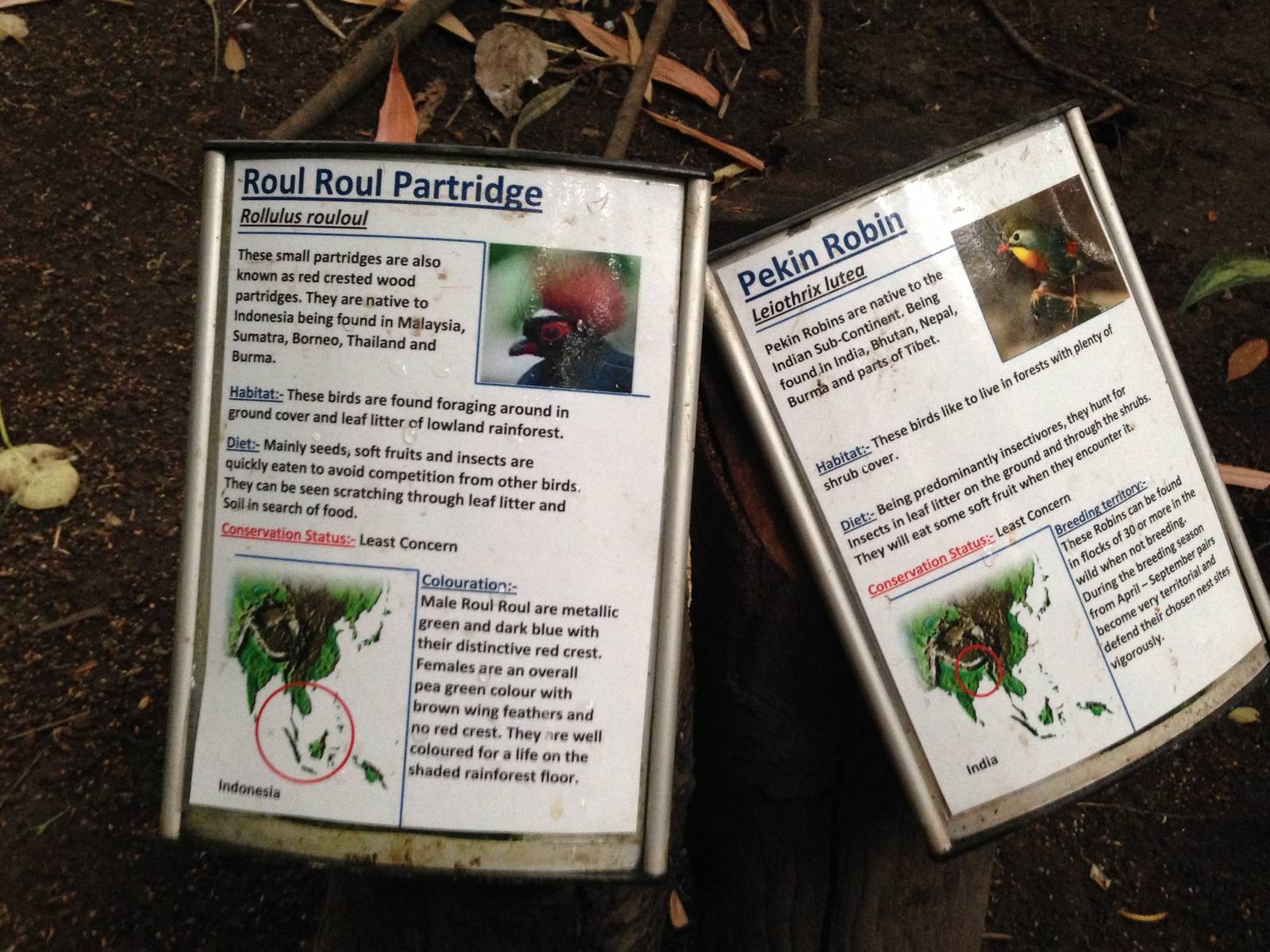 Australasia House Signage Example at Tropical World - 02/10/2013