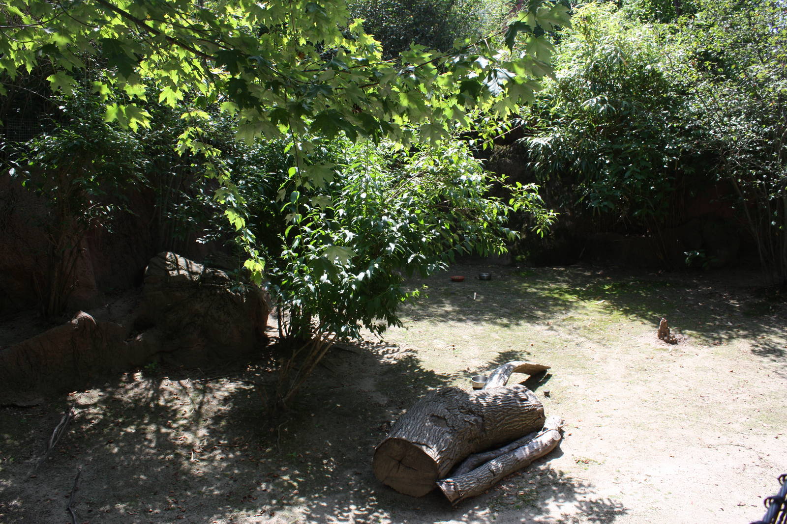 Australasia- Parma Wallaby Exhibit