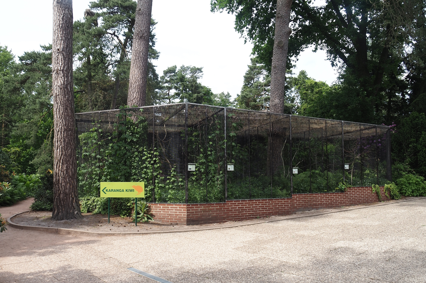 Australasian aviary block and road to kiwi house, 2024-05-21